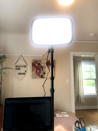 Photograph of a rectangular light on a tall black stand above a computer monitor. In the background is an open door, wall art, and a sofa.